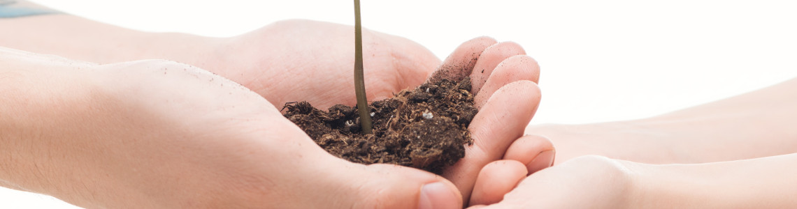 Meio Ambiente e Sustentabilidade Meio Ambiente e Sustentabilidade