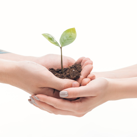 A Sociedade Civil e o Direito Ambiental