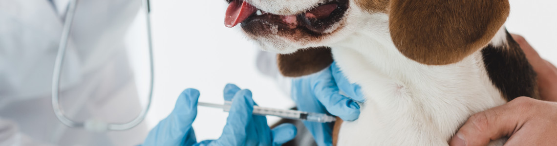 Medicina Veterinária