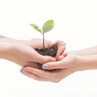 Meio Ambiente e Sustentabilidade